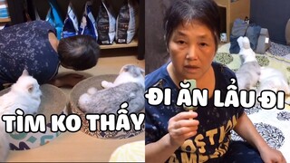 THẤT THẤT lạc mất rồi, cả nhà nháo nhào đi tìm và CÁI KẾT..😁 | Pets TV