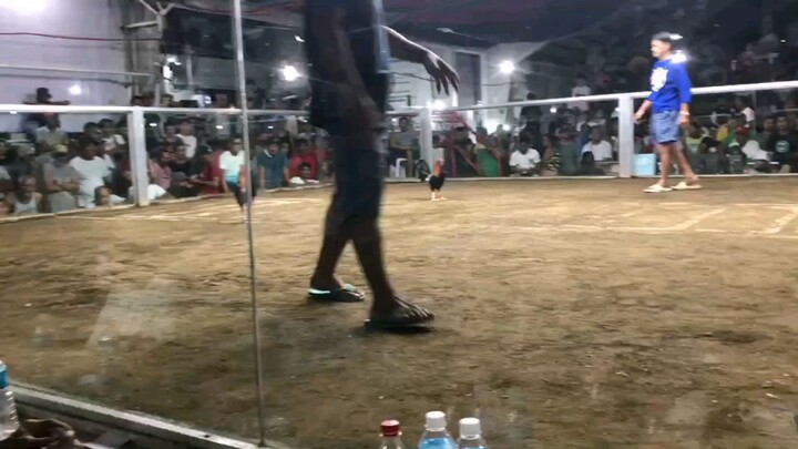 2 hits Champion at Ciudad de Cavite.