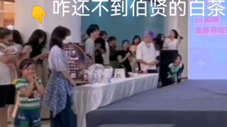 随舞上顽强的地粉一定要等到白茶跳完再走