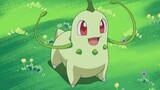 [Elf Pokémon] The stingy Pokémon, Chrysanthemum leaves are playing their temper again