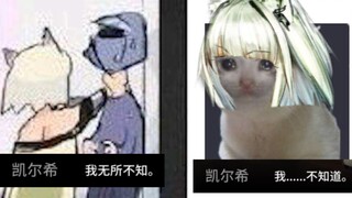 以前的凯尔希对比看完剧情后的凯尔希