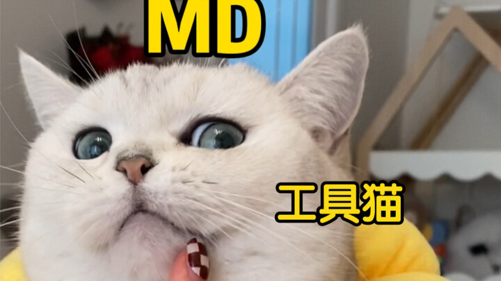 哈哈哈哈哈哈哈拜托会拔车厘子的工具猫超酷的！！！