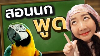 สอนนกแก้วพูด (Teaching Parrot To Talk) Ep.197