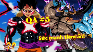 [Q&A#5]. Sức mạnh tiềm ẩn của Kaido! Luffy chấp cả Sanji và Zoro?