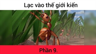 Lạc vào thế giới kiến p9