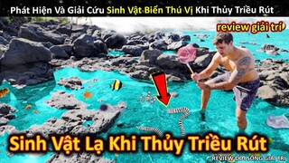 Phát Hiện Sinh Vật Lạ Khi Giải Cứu Động Vật Khỏi Bãi Đá Thủy Triều Rút || Review Giải Trí Đời Sống