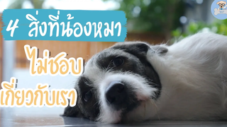 4 สิ่งที่น้องหมาไม่ชอบเกี่ยวกับเรา Doggy Inside