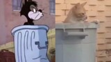“Hóa ra những âm mưu trong Tom và Jerry đều là sự thật.”