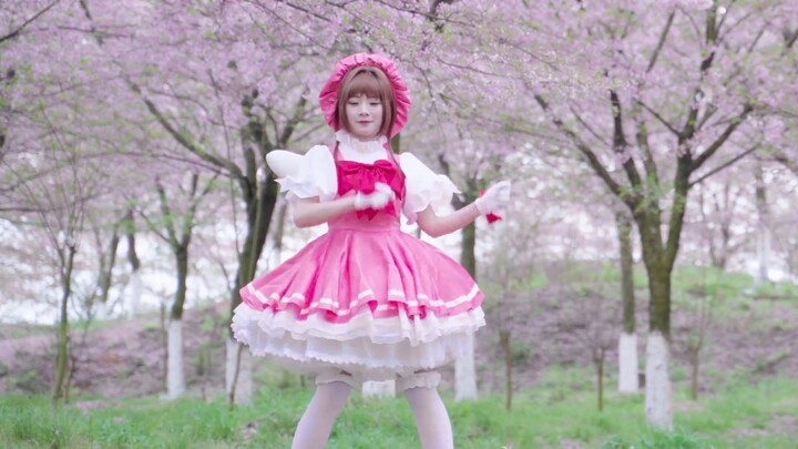 Variety Sakura ｜ ❀ Catch You Catch Me ❀ ｜ Chúc mừng sinh nhật Sakura vào ngày 1 tháng 4 ~