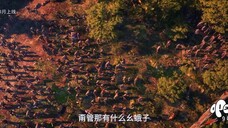 TRAILER NEW DONGHUA BU LIANG REN SEASON 7 LESS GOOO🥰🔥
