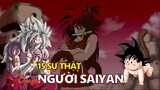 15 sự thật về người Saiyan: Chủng tộc biến hình nhiều nhất vũ trụ!