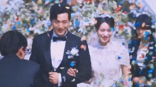 Hết lần này đến lần khác tạo cơ hội cho mình, cô hết lần này đến lần khác đẩy mình ra xa.