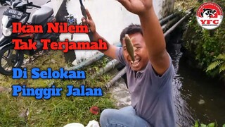 Strike Ikan Nilem Di Selokan Pinggir Jalan.. Asyik Broo