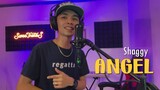Angel | Shaggy ft. Rayvon - Sweetnotes Cover