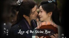 🌺Love.of.the.divine.tree EP03🌺