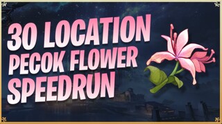 30 Location Pecok Flower - Wuthering Waves [TOPUP DI FEBRY.STORE]