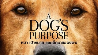 A DOG'S PURPOSE (2017) หมา เป้าหมาย และเด็กชายของผม