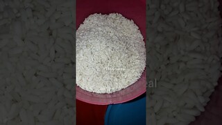 DYMA |ASMR RAW RICE EATING |Makan Beras | asmrrawriceeating| #asmrsounds  #asmr #shorts #mukbang