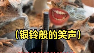 《约你出来吃饭，然后自己全吃了的朋友》