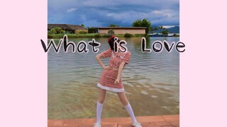 【What is Love】Han Wuchu tried the cover which has nothing to do with the video. The donkeys in the p