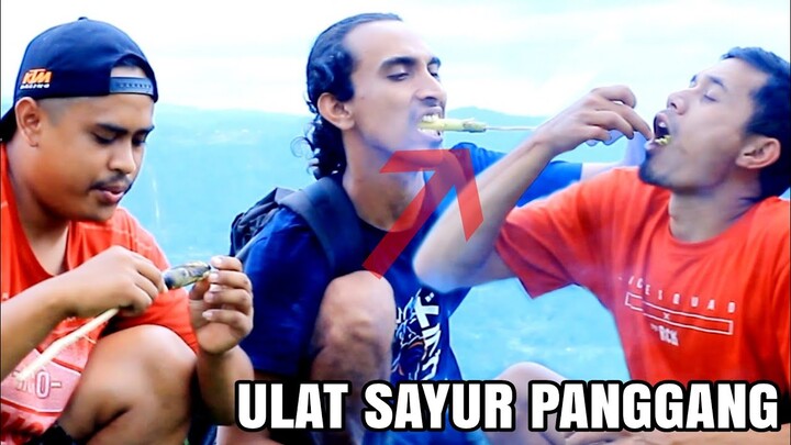 ULAT ALASKA PANGGANG | Bakalan Geli Makannya Jika Belum Tau Tanaman ini ‼️