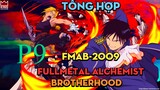 Tóm Tắt " Cang Giả Kim Thuật Sư (FMAB-2009) " | P9 | AL Anime