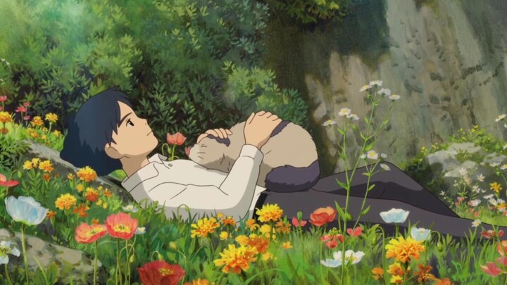 Mùa hè của Hayao Miyazaki luôn dịu dàng như thế