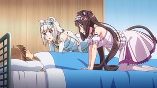 Nekopara ONA「AMV」Used To Be