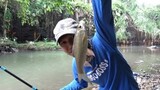 Mancing Nilem Di Sungai Umpan Nasi Strike Terus Broo - Bonusnya Ikan Brek