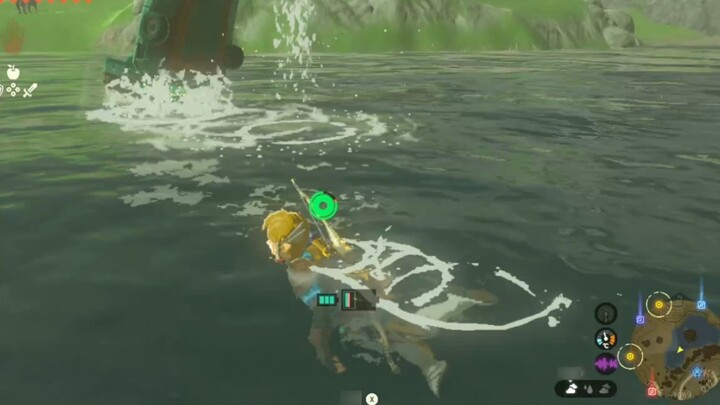 [Tears of the Kingdom] Commemorating the first time I saw a dolphin in Zelda! !