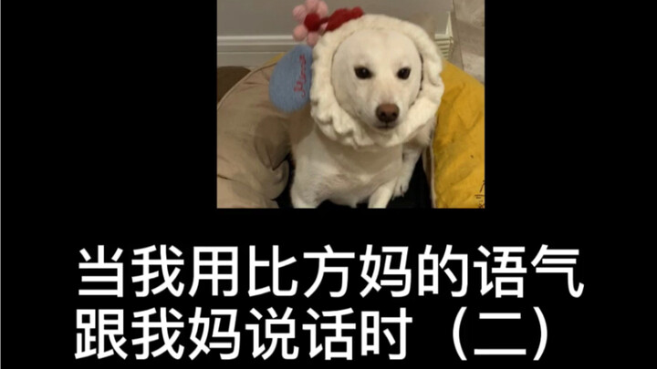 我给你俩做成夫妻肺片！！