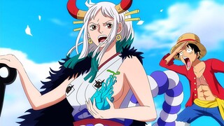 New Straw Hats Devil Fruit! New Member Fruit Revealed - One Piece