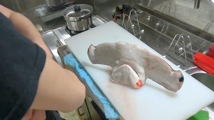 ทดลองทำ ซูชิปลาฉลามหัวค้อน รอดหรือเปล่าไปชมกัน