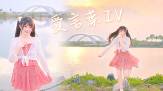 夏日 清凉 甜妹一只~💗愛言葉IV【5000粉感谢❤喵喵生日作】