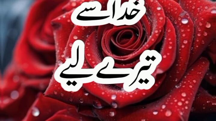 Life time