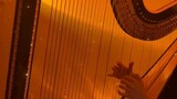 Harp Genshin Impact Xumi "Giai điệu của giấc mơ hòa hợp"
