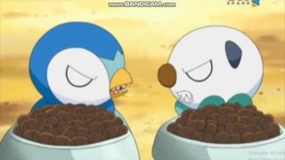 Pokemon Black And White (2011-2014) - Piplup Vs Oshawott Part 2 Scene