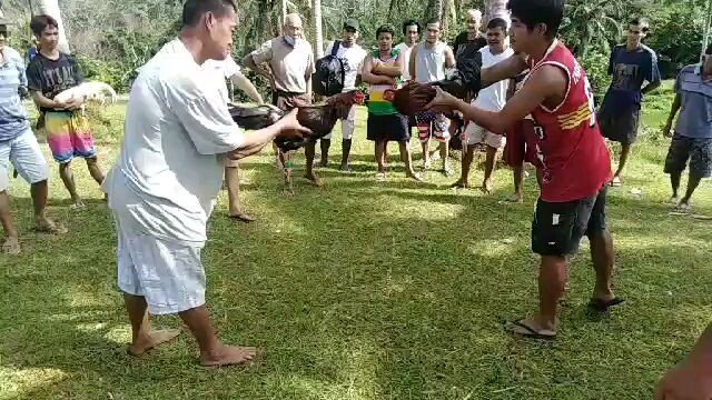 4th fight ng hennie Kelso ka an tari