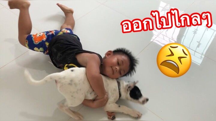 อัพเดทวันนี้บ้านนี้ทั้งคนทั้งหมาแสบหมด