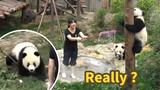 [Panda] Bermain-main Saat Membersihkan Kolam Renang