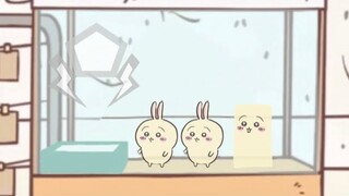 『ちいかわ』第3話「可哀想なうさぎ」