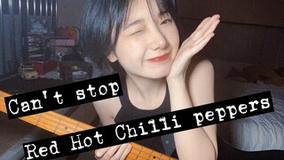 贝斯slap | 假装是辣妹 | 红辣椒「can't stop」