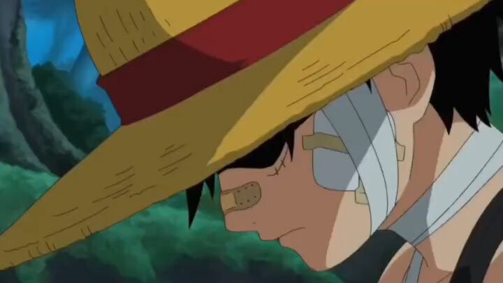Luffy: ... "Kesepian itu lebih menyakitkan daripada terluka"