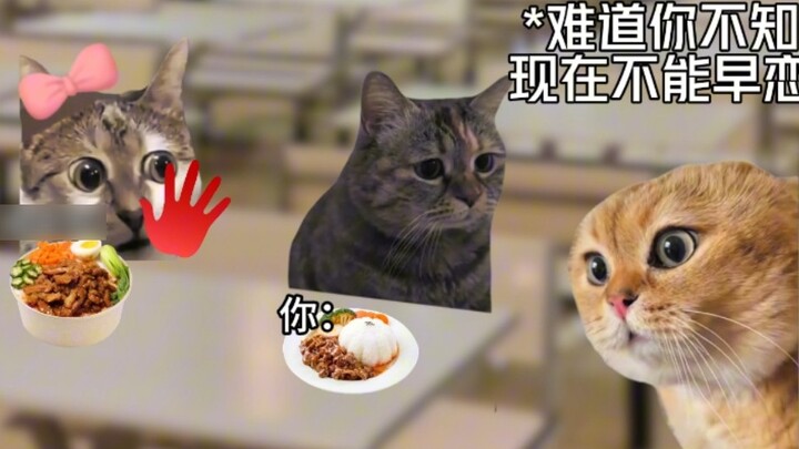【Cat meme】Being a class teacher looks very small