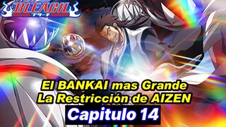 Nuevos Datos del BANKAI de AIZEN y KURAYASHIKI - BLEACH "Spirits Are Forever With You" 14