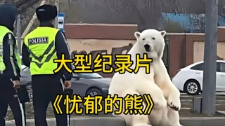 大型纪录片《忧郁的熊》