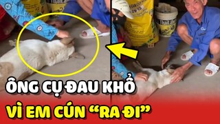 Ông cụ ĐAU KHỔ vì em Cún nuôi hơn 10 năm bổng "RA ĐI" 😢 | Yêu Lu