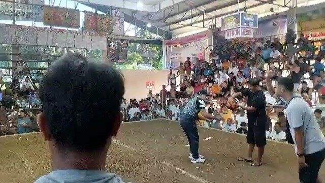 3RD FIGHT FOR CHAMPION- MANSANITAS GAMEFARM STRIKES AGAIN