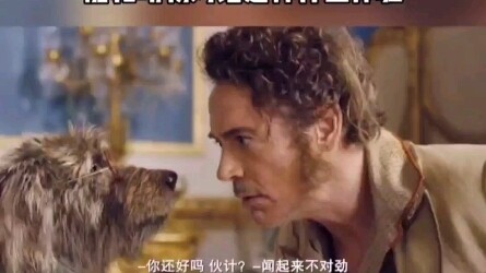 能和动物对话是种什么体验