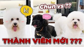 GIA ĐÌNH CAM CAM ĐÓN THÀNH VIÊN MỚI